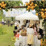 Casaconer | ガーデンパラソル・手動開閉タイプ・丸・幅250cm・日よけ・雨よけ対応・アウトドア