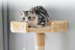 キャットタワー キャットツリー 据え置き 麻紐 全高155cm 機能満載 爪とぎ 多頭飼い 安定感抜群 頑丈 省スペース 猫ハウス 上りやすい クリアボウル キャットポール 据え置き型 7日内出荷