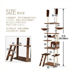 キャットタワー キャットツリー 突っ張り おしゃれ 全面麻紐 高さ235-258cm 機能満載 爪とぎ 多頭飼い 安定感抜群 頑丈 省スペース 猫ハウス 上りやすい キャットポール 据え置き型 7日内出荷