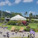 Casaconer | ガーデンパラソル・手動開閉タイプ・丸・幅250cm・日よけ・雨よけ対応・アウトドア