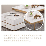 Casaconer | ネストテーブル・セラミックテーブル・リビングテーブル・収納付・幅60・幅50