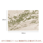 カーペット 洗える おしゃれ 洗濯機 オールシーズン対応 滑り止め ラグ マット ラグマット 160×230 200×300 3畳 北欧デザイン ラグマット 絨毯 リビング 寝室 子供部屋 床暖房対応 室内用長方形