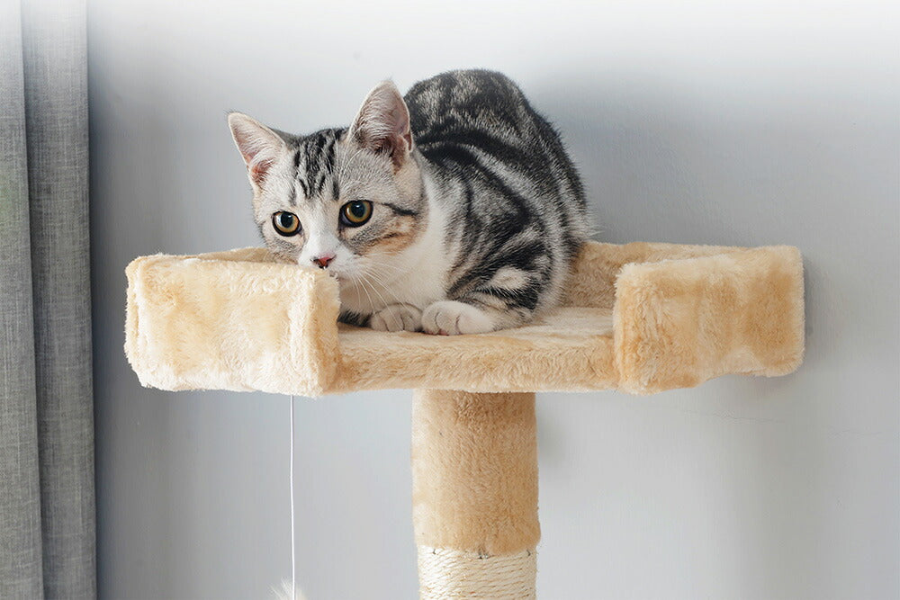 キャットタワー キャットツリー 据え置き 麻紐 全高155cm 機能満載 爪とぎ 多頭飼い 安定感抜群 頑丈 省スペース 猫ハウス 上りやすい クリアボウル キャットポール 据え置き型 7日内出荷