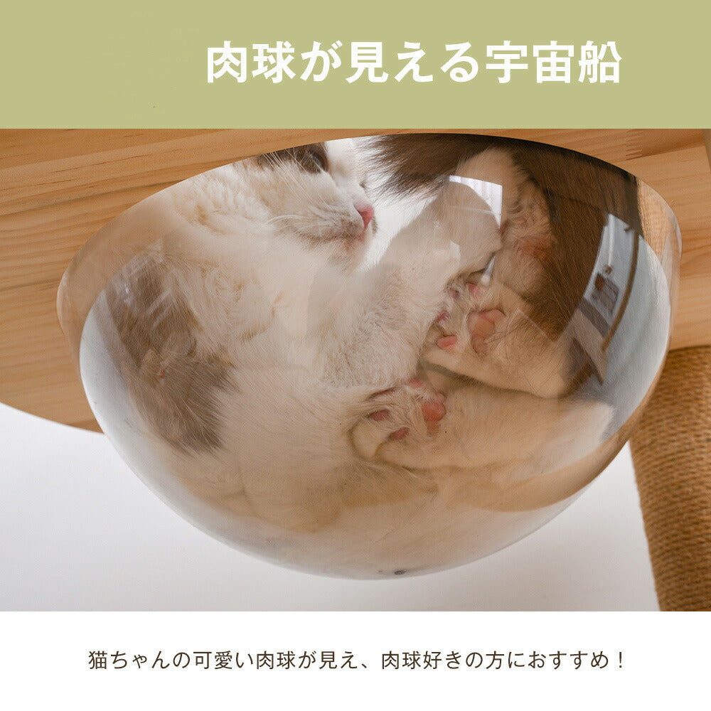 キャットタワー 猫タワー 天然木製 宇宙船付き 麻紐支柱 爪とぎ おもちゃ付き 安定感抜群 ペットハウス 上りやすい クリアボウル 省スペース 多頭飼い 角丸 据え置き型 ペット用品 おしゃれ 馴染 7日内出荷