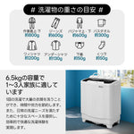 洗濯機 乾燥機 二槽式 縦型洗濯機 洗濯槽6.5kg 脱水槽4kg 大容量 タイマー機能付き コンパクト 小型洗濯機 節電 二槽式洗濯機 まとめ洗い 部屋干し 引越し 家庭用 家電 新生活 7日内出荷