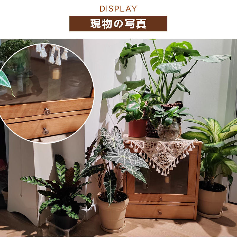 Casaconer | 食器棚・木製・ガラス扉・おしゃれ・ナチュラル・収納ラック・収納棚・幅39・2段