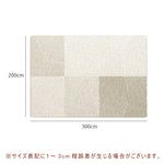 カーペット 洗える おしゃれ 洗濯機 オールシーズン対応 滑り止め ラグ マット ラグマット 160×230 200×300 3畳 北欧デザイン ラグマット 絨毯 リビング 寝室 子供部屋 床暖房対応 室内用長方形