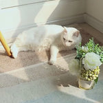 Casaconer | カーペット・おしゃれ・オールシーズン対応・北欧デザイン・ラグマット・絨毯・リビング・寝室・子供部屋・床暖房対応・カラー多数・室内用