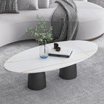 リビングテーブル セラミック調天板 幅120cm 楕円形 ローテーブル リビング向け シンプルモダン 北欧風 デザイン ソファ前テーブル ホワイト／ブラック 大理石風 おしゃれ