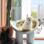 Casaconer | ダイニングチェア・エレファントチェア・FRP製・デザイナーズチェア・幅80cm・ベージュ/ブラック・軽量・耐水・耐汚・おしゃれ・椅子