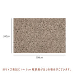 カーペット 洗える おしゃれ 洗濯機 オールシーズン対応 滑り止め ラグ マット ラグマット 160×230 200×300 3畳 北欧デザイン ラグマット 絨毯 リビング 寝室 子供部屋 床暖房対応 室内用長方形